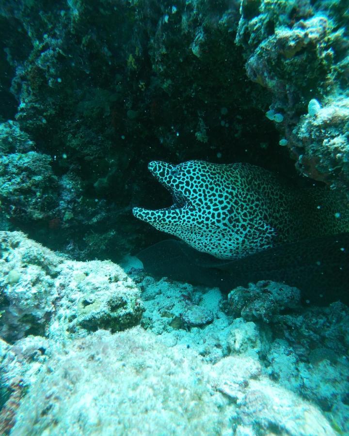 ホテル One The Island ナイファル エクステリア 写真