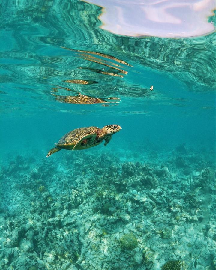 ホテル One The Island ナイファル エクステリア 写真