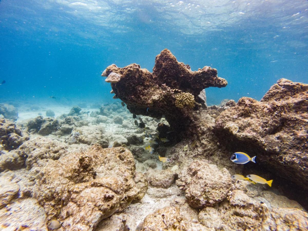 ホテル One The Island ナイファル エクステリア 写真